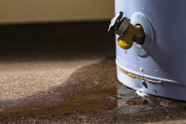 Best Water damage restoration specialists  in Harrisville, PA