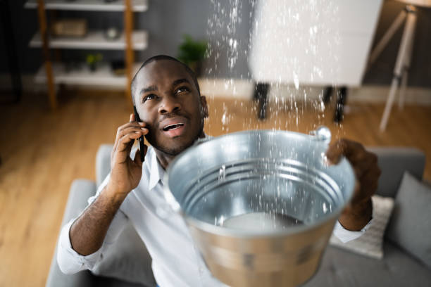 Best Water damage restoration near me  in Harrisville, PA