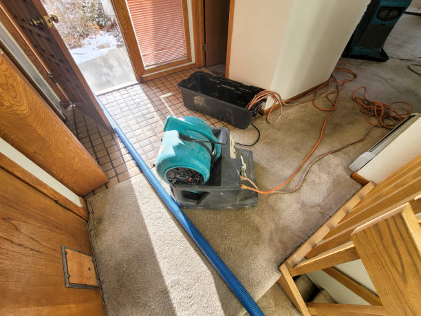 Best Water damage restoration process  in Harrisville, PA