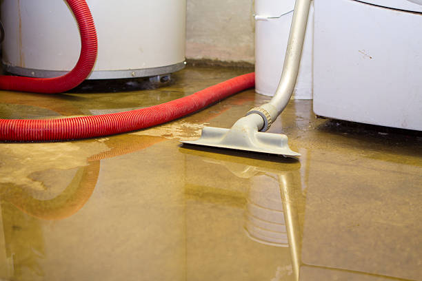 Best 24/7 water damage repair  in Harrisville, PA
