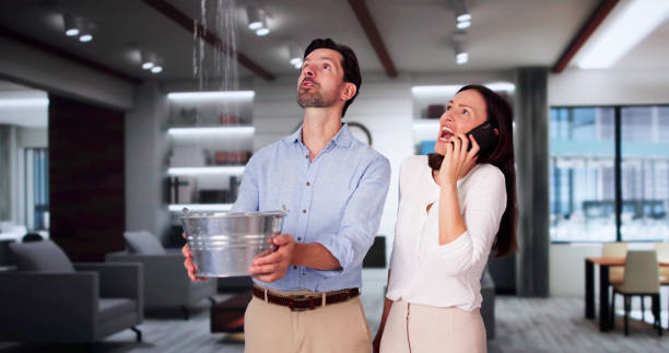 Best Commercial water damage restoration  in Harrisville, PA