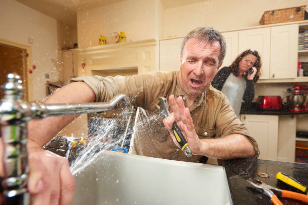 Best Flood restoration services  in Harrisville, PA